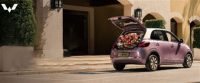 New Car Sales in Europe Fall 3.5% YoY in January 2026, Sharp Drop For Traditi...